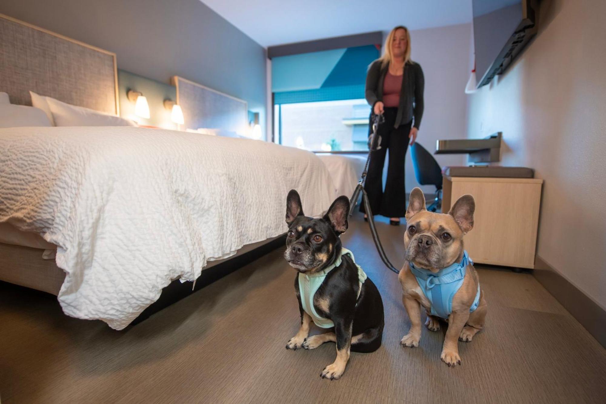 Avid Hotel Wisconsin Dells Lake Delton By Ihg Exteriör bild